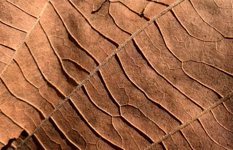 2024年企业宣传片与活动拍摄服务价格对比及选型建议